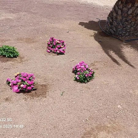 Gioly Puerto del Rosario (Fuerteventura)